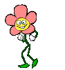 Веселый пляшущий цветок анимация