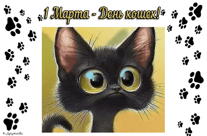 1 марта - день кошек анимация музыка открытка