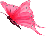 Красивая розовая бабочка